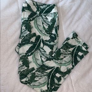 Pixie midrise palm print pants
